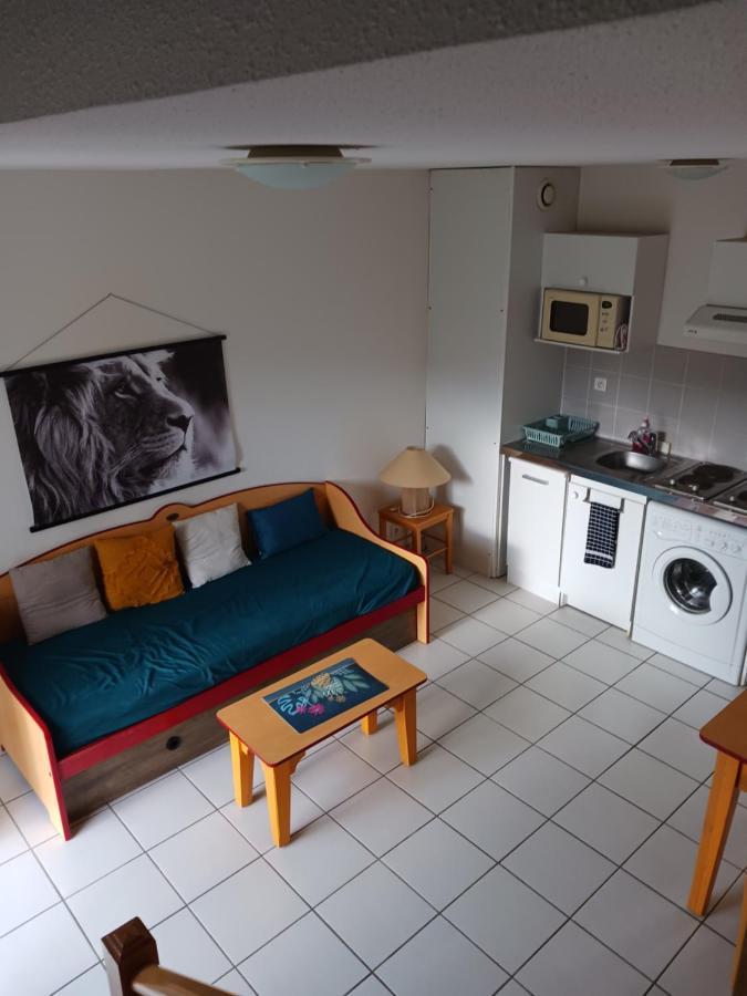 T3 La Savane Saint Geniez D'Olt 2 Piscines Chauffees Dans Une Charmante Residence De Vacances Zewnętrze zdjęcie